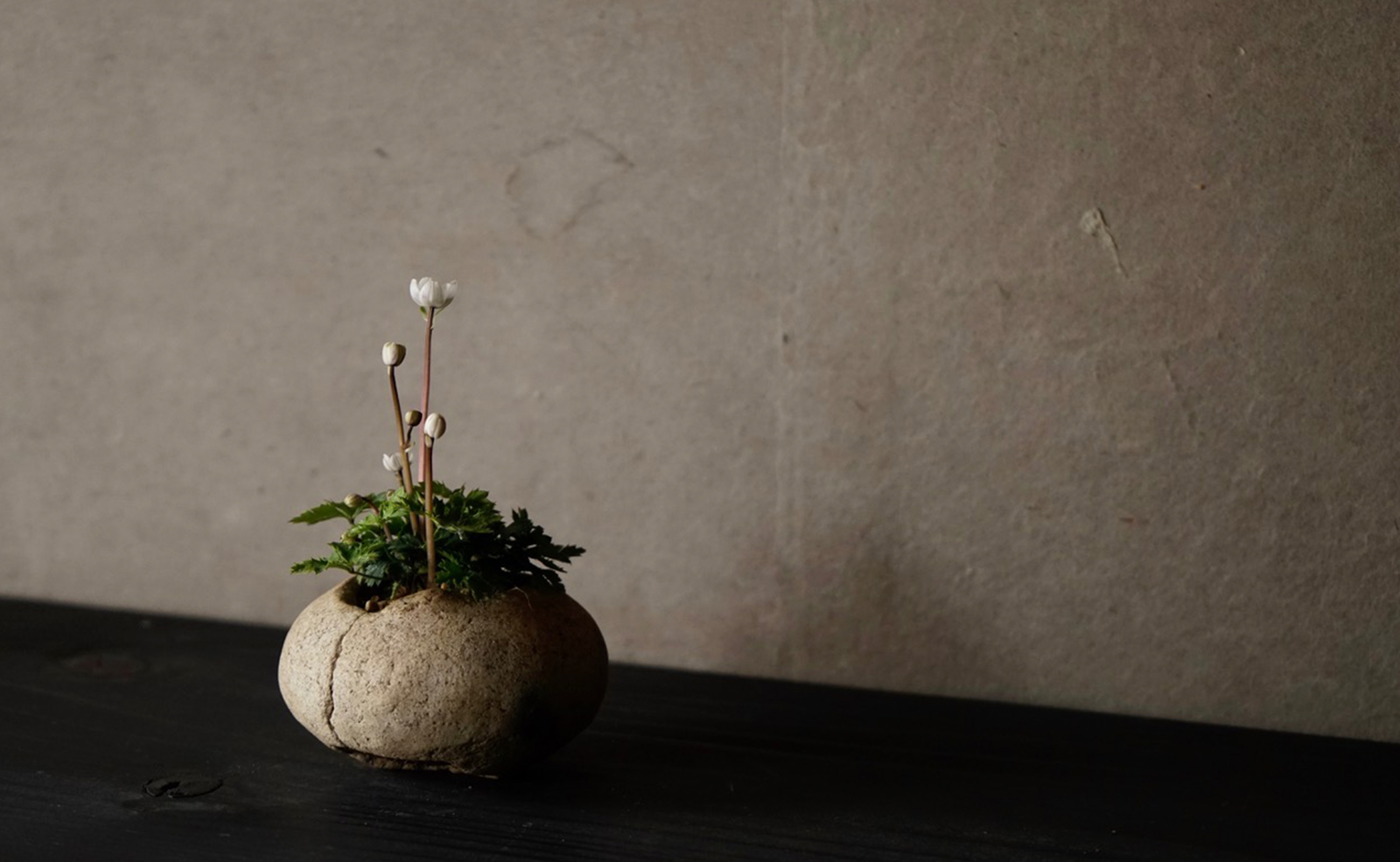 誂えもの 花屋 みたて